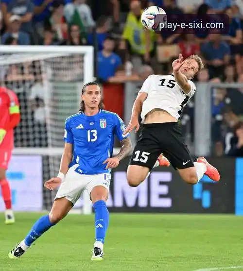 意大利再遭附加赛魔咒,四喜娱乐官网观赛体验与赛事深度评测